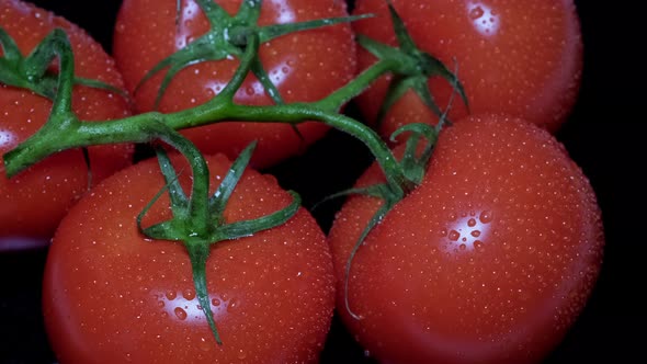 Closeup of Fresh Red Tomatoes with Green Leaves on a Black Background