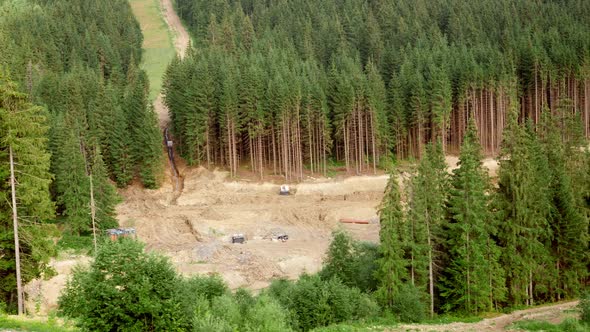 Heavy Machinery Working and Cutting Out the Pine Tree Forest in Mountains