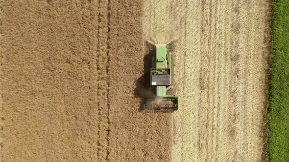 Combine harvester gathers the wheat crop