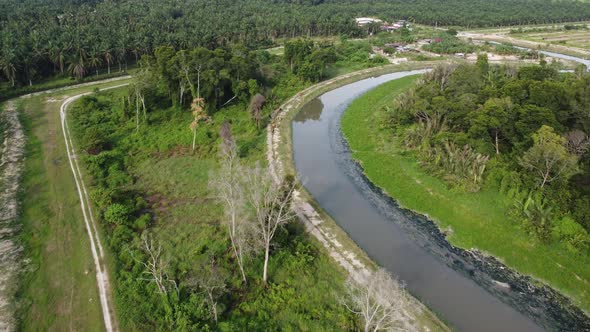 Aerial view rural of plantation