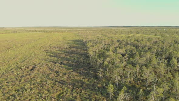 A Drone View of the Endless Swamps of Siberia Where the Bulk of Russia's Oil and Gas is Produced