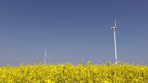 summer landscape against the backdrop of windmills