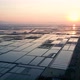 Drone View  At Salt Havest with Sunset - VideoHive Item for Sale
