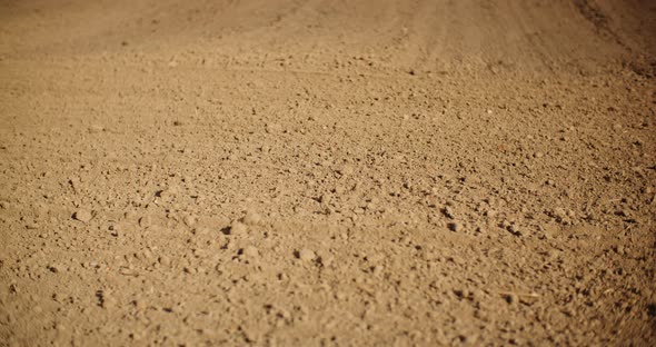 Freshly Cultivated Agriculture Field Prepared for Seeding Corn