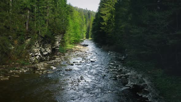 Mountain River with Low Rapids Flows Inside Mysterious Forest