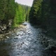 Mountain River with Low Rapids Flows Inside Mysterious Forest - VideoHive Item for Sale