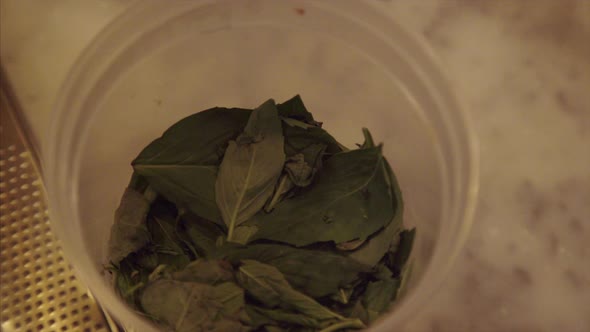 Chef Gets Basil Leaves From a Bowl