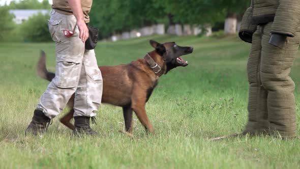 Dog and Its Master Are Scaring Man.