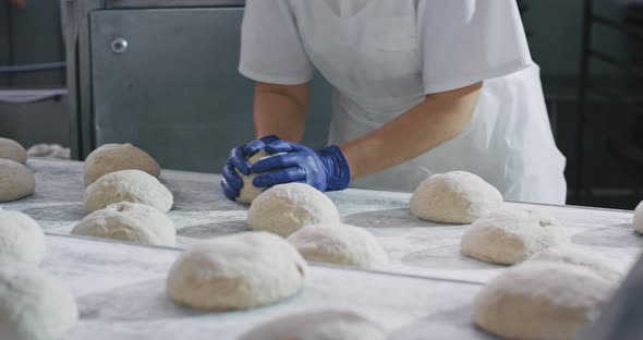 Working Bakers in a Big Bakery Factory Preparing