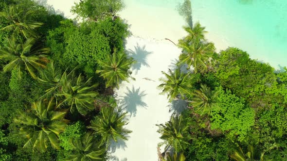 Aerial top view tourism of exotic lagoon beach wildlife by blue sea and white sand background of a d
