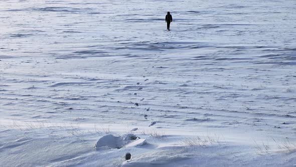 Aerial View: Lonely Person Walks Through a Snowy Desert.