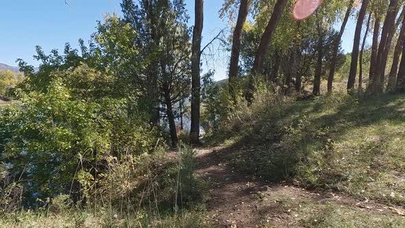 Walking down a trail through trees towards the Snake River