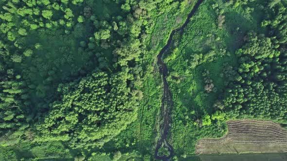 Small River Flows Smoothly Between Green Fields and a Railway Bridge