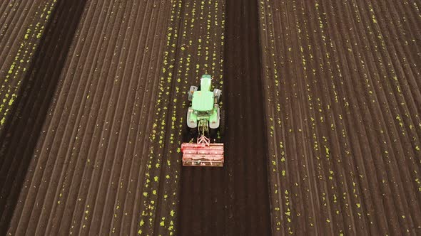 Tractor Cultivates the Land in the Field