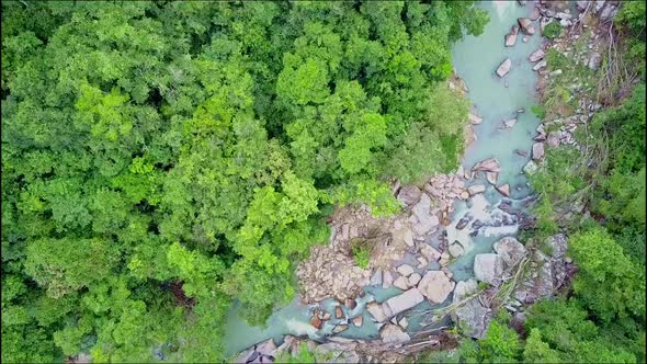 Flycam Moves Close To River Among Thick Tropical Jungle