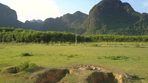 Funny Buffaloes in Little Mud Pond Under Evening Sunshine