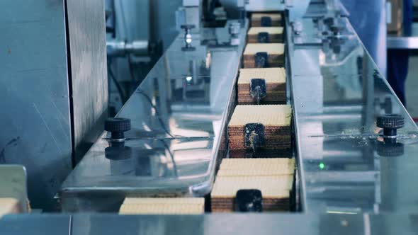 Batches of Freshlymade Waffle Bars Moving Through the Machinery