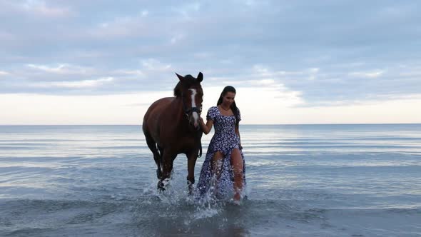 A beautiful girl with long hair in a blue dress walks her horse through the water during the evening