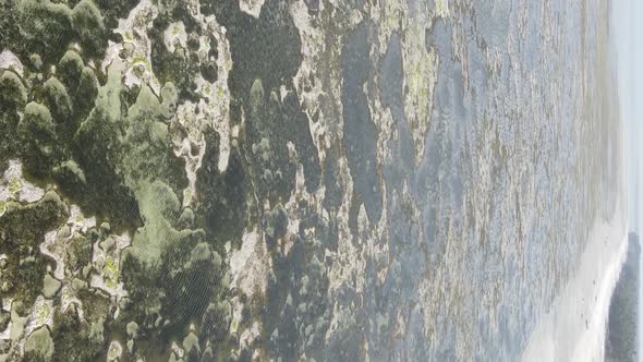 Vertical Video of Low Tide in the Ocean Near the Coast of Zanzibar Tanzania Aerial View