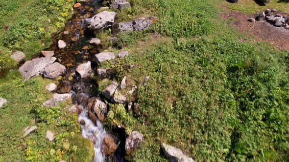 A Small Pond and a Stream in a Mountain Forest