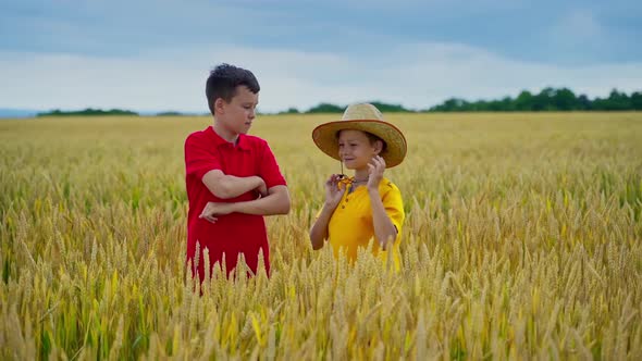 Child in wheat field. Two little boys at wheat field together