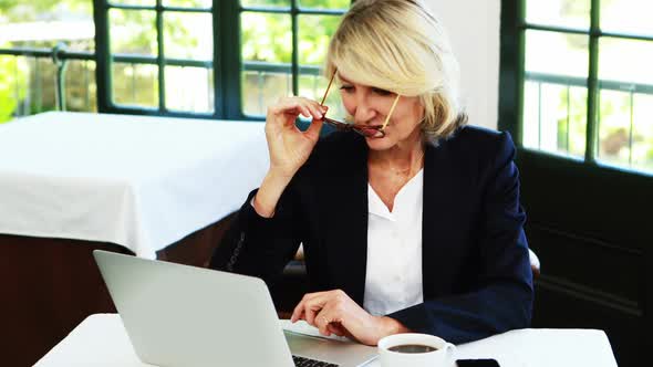 Businesswoman using laptop in restaurant