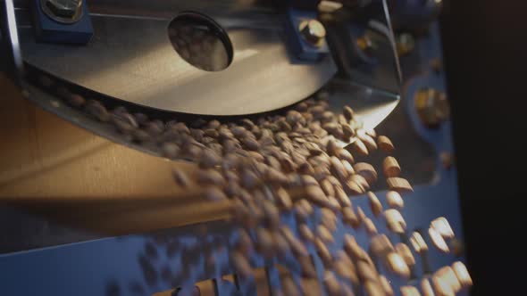 Brown Arabica Coffee Beans Fall From the Roaster in the Chiller for Cooling