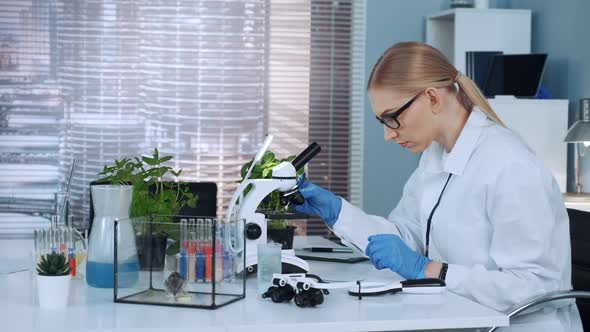 Female Research Scientist Putting Organic Material with Tweezers on Slide