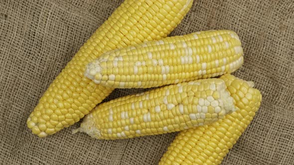 Corn Cobs on Sackcloth Background