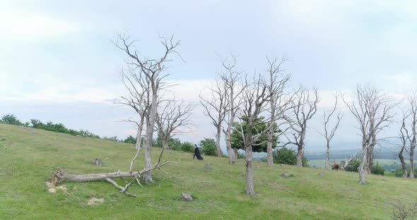 Man Walking out of a Dead Forest