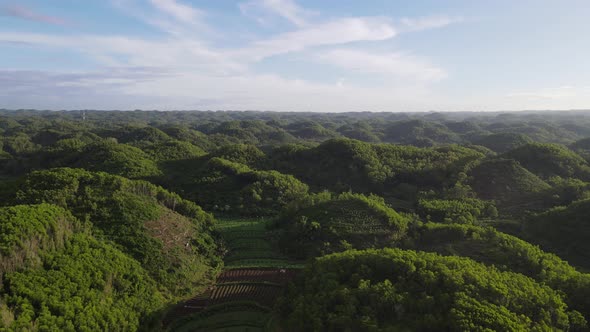 Aerial view of green valley in Gunung Kidul, Indonesia.