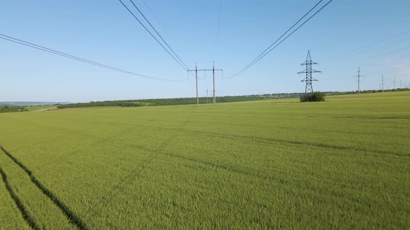 Aerial View of High Voltage Electric Towers and Flying Over a Field of Wheat