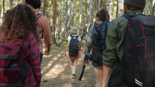 Back View of Young People Tourists Walking in the Forest with Backpacks Looking Around Enjoying View