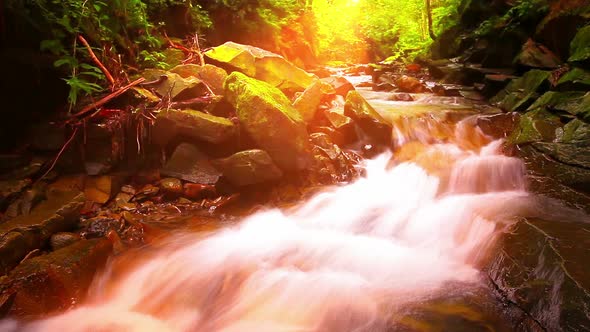 Mountain Stream