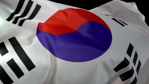 South Korea Flag