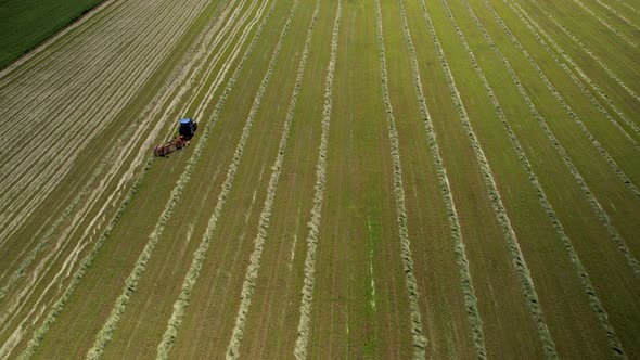 A tractor harvests crops, running up and down rows. Farm. Europe.