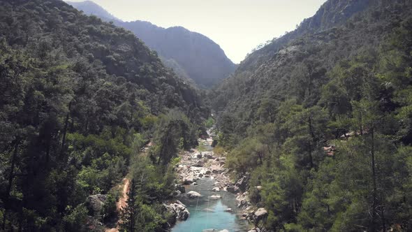 Winding river through majestic stone canyon surrounded by pine tree forest.