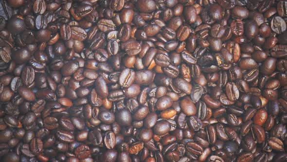 Coffee Beans Close Up With Smoke
