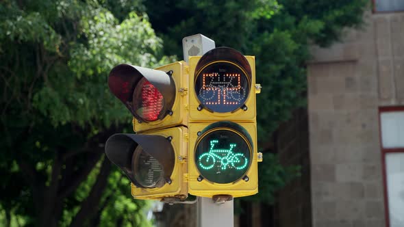 Green Animation Of Bicycle On Traffic Light With Countdown Timer In Mexico City