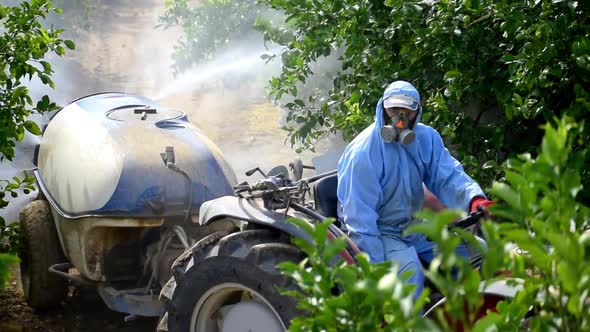 Tractor spraying pesticide and insecticide on lemon plantation