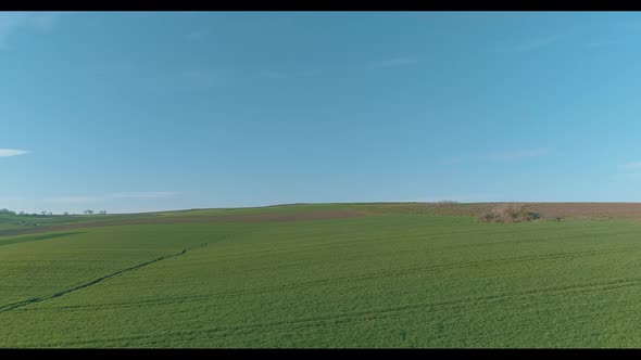 Aerial Shot Of Green Field On Spring