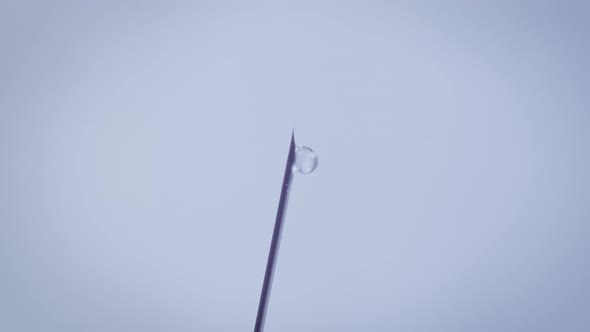 Disposable Syringe Needle with a Drop of Medication Closeup