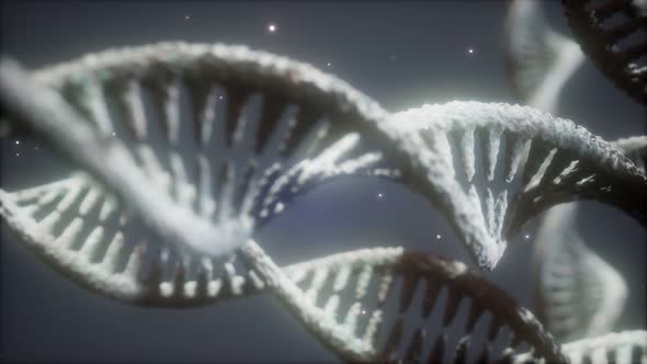 Double Helical Structure of Dna Strand Close-up Animation