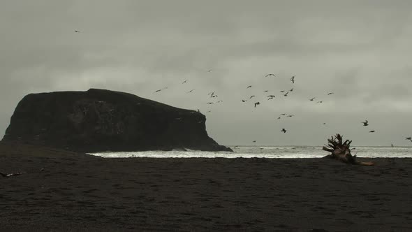 Slow motion extreme wide shot of a flock of seagulls flying in the air. A gigantic rock is seen the