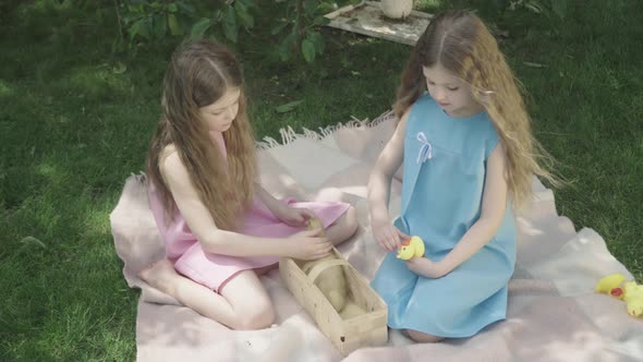 Top View of Two Pretty Girls Playing with Ducks and Looking at Camera Smiling. Portrait of Charming