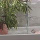Water fun in the bath - VideoHive Item for Sale