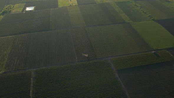 Aerial Top View of an Agriculture Field in Countryside on a Spring Day