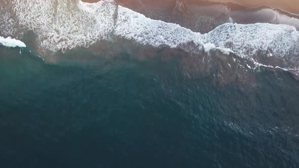 Cenital Drone Shoot Of A Paradise Virgine Beach In The Caribbean With Waves And Palms Tree 