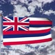 Hawaii Flag Waving - VideoHive Item for Sale
