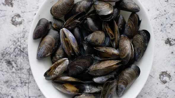 Top View of Shellfish Raw Mussels in Ceramic White Bowl Placed on Stone